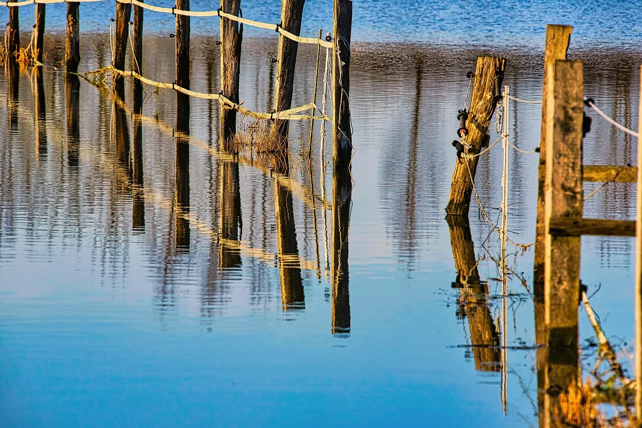 fence, flooding, nature, water, flood, climate change, flood disaster, flooded, meadow, coupling, landscape, rural, countryside