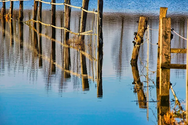 fence, flooding, nature, water, flood, climate change, flood disaster, flooded, meadow, coupling, landscape, rural, countryside. Flood Re and commercial insurance in England's flood zones